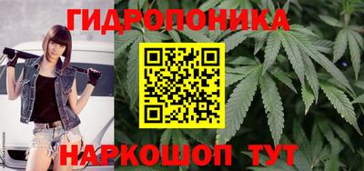 гашиш Аша