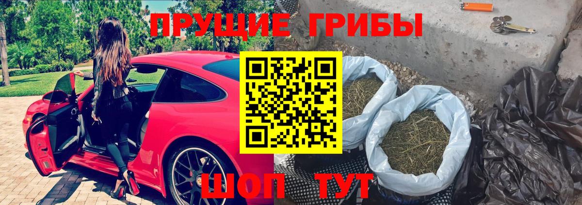 Галлюциногенные грибы Psilocybe  Вход с VPN  Приморско-Ахтарск 