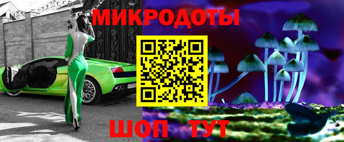 Псилоцибиновые грибы Cubensis Приморско-Ахтарск